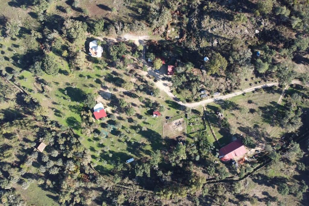 Quinta Terramadome: Dome Incomum & Responsavel Villa Penamacor Eksteriør bilde